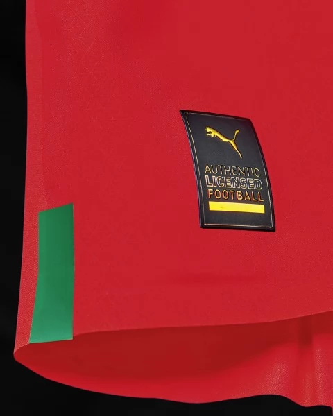 Maillot de Foot Coupe du monde 2022 Maroc Tenue Domicile